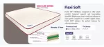 Flexi Soft Details