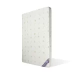 Spine care_vertical_view